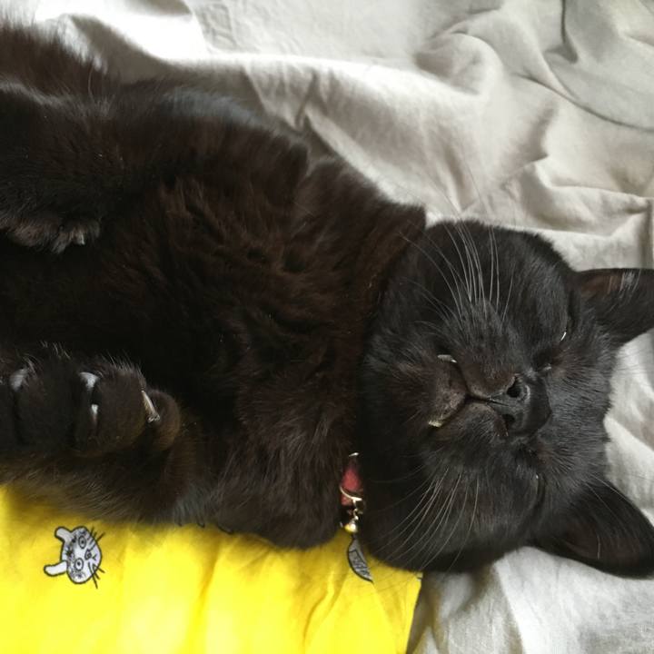 19b98377 fbe0 4413 bd9c bfc846b52b90