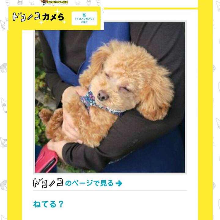 19b9df1b 7eaf 4c00 a51a 59ae7c0aa0f2