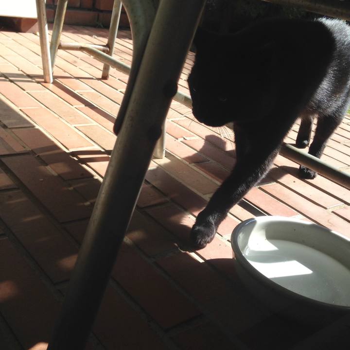 19ba747a f077 41a7 8792 3a7b9a8ff052