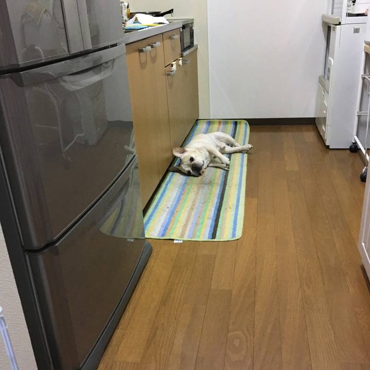 19bae11e 05f6 4345 98d9 df8a340d99c6