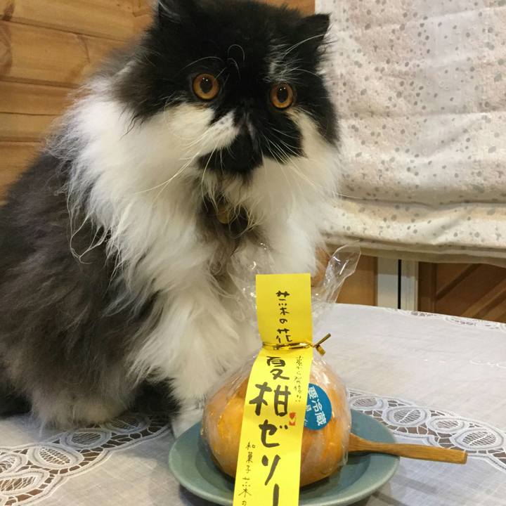 19baf71f 21dd 41f3 8b02 a0fb865eb850