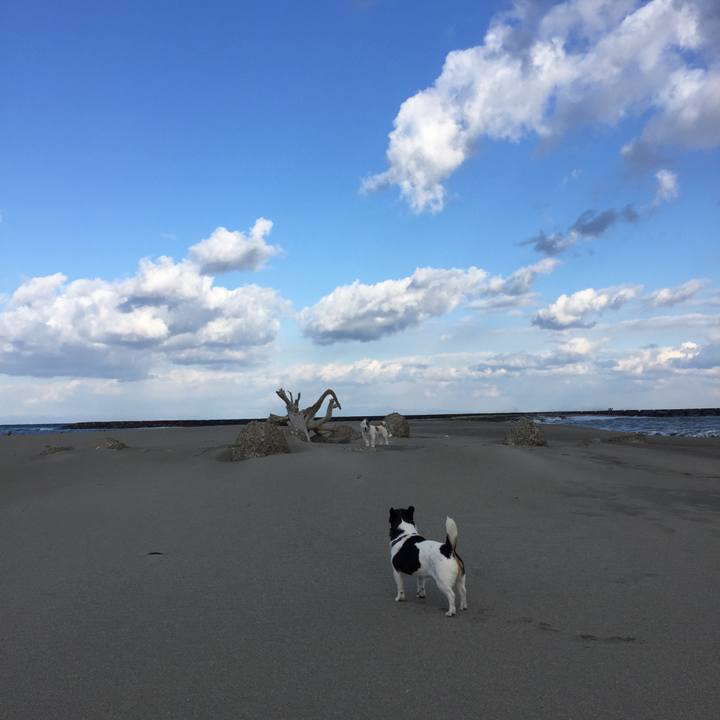 19bb331a fec6 4268 9bcd 781624ab27de