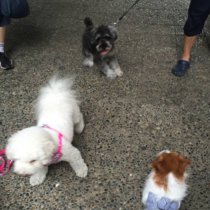 19bb6c5e 2222 43f1 b5e4 b3c6ea9348af