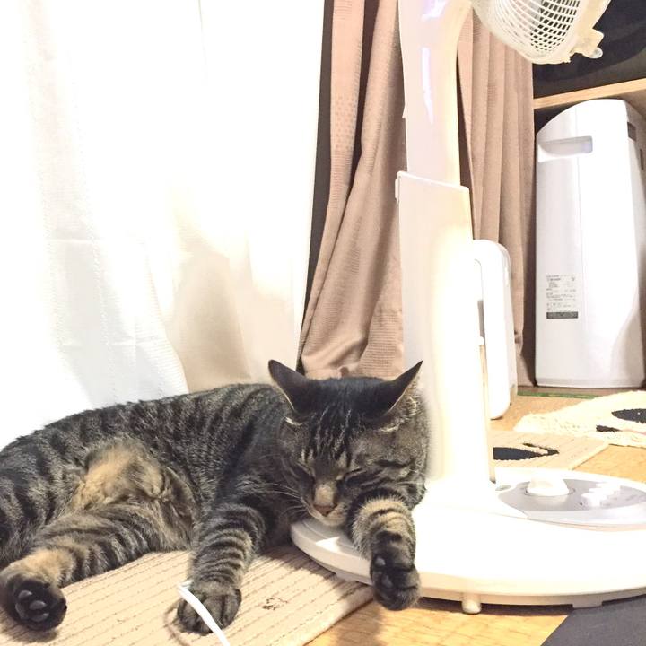 19bbbcde 4253 4864 b3ab daa53bf1cd46