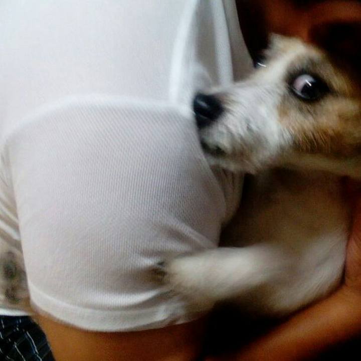 19bbf3ba 7b47 4f7d 9080 7170b0616812