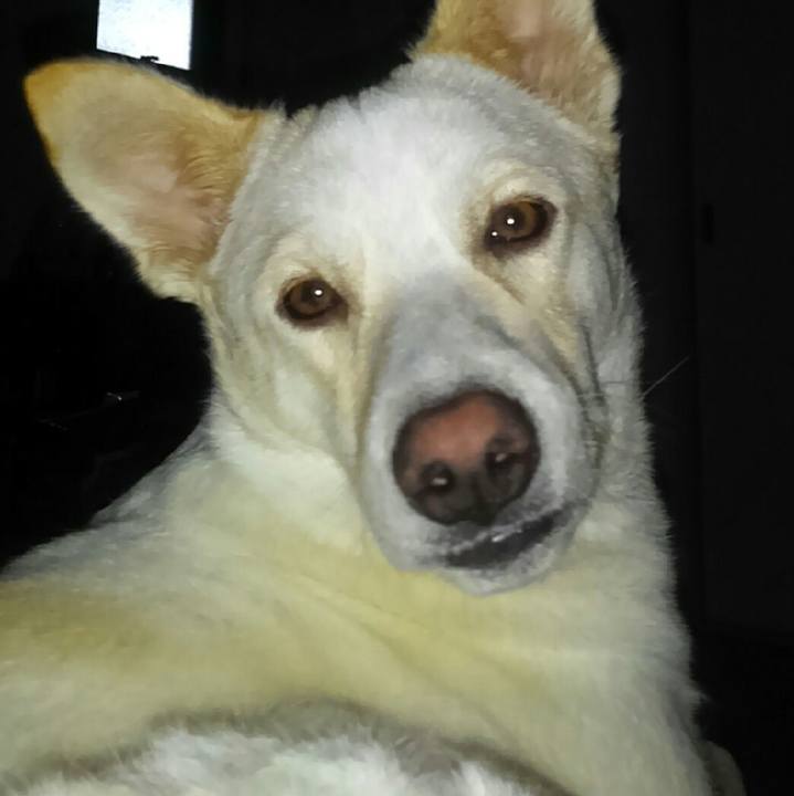 19bbfa2e ab38 4287 bf7c 91aecfe8eea1