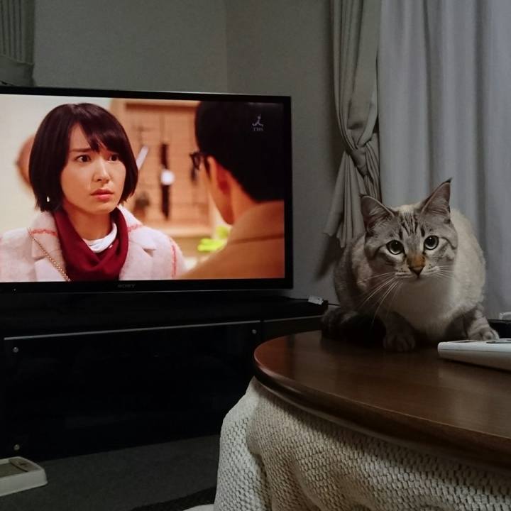 19bc2632 1f12 4693 935d 06dd574ec93e