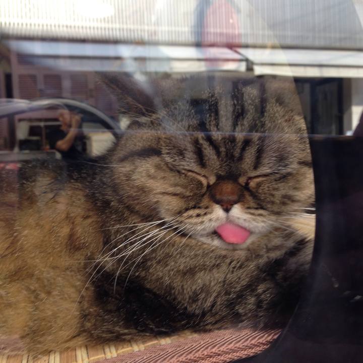 19bc426c bd85 4b12 8087 40d7060eaed4