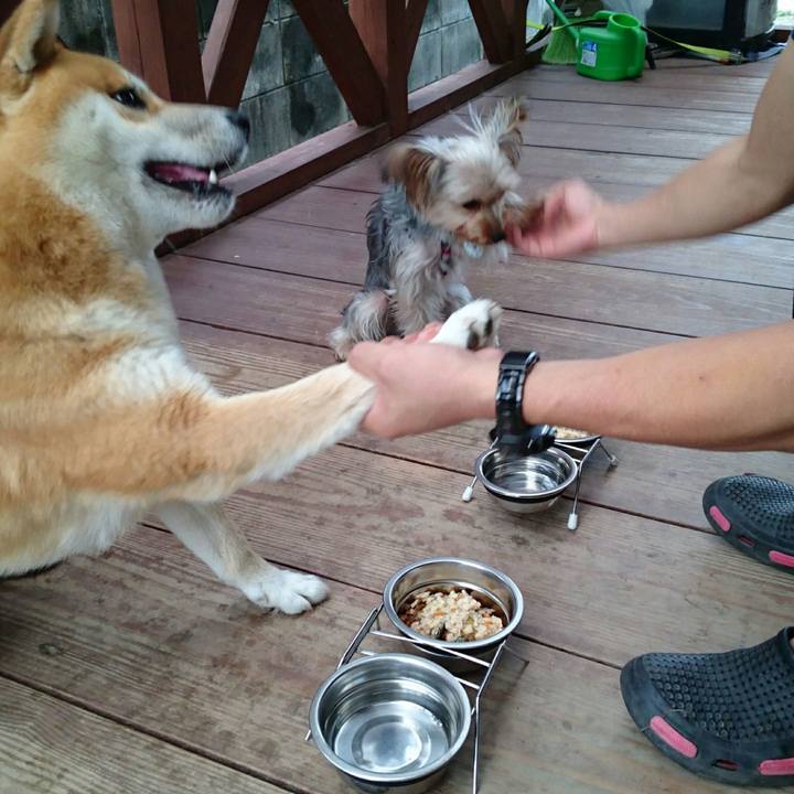 19bd4cae 1b61 489b 973c 37a9e18aee2b