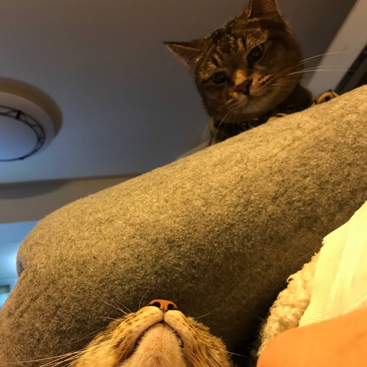 19bdfa61 bfc0 4e9c 858a 23d8fdca78f3