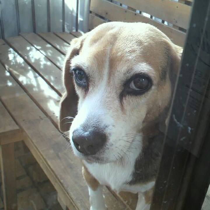 19be6387 5343 4c88 b48e 60b09c3ae460