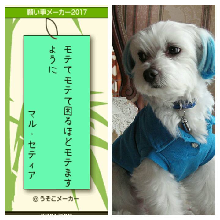 19bf3496 321d 4f22 b783 dfc45281a498