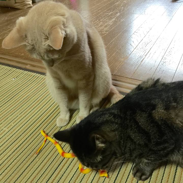 19bf7c57 a046 4f67 b808 07117f3e1f9d