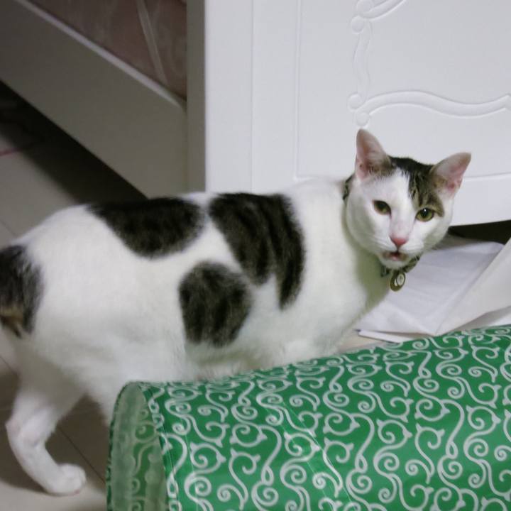 19c003fa 8420 414f abed 899ff2ae25d7