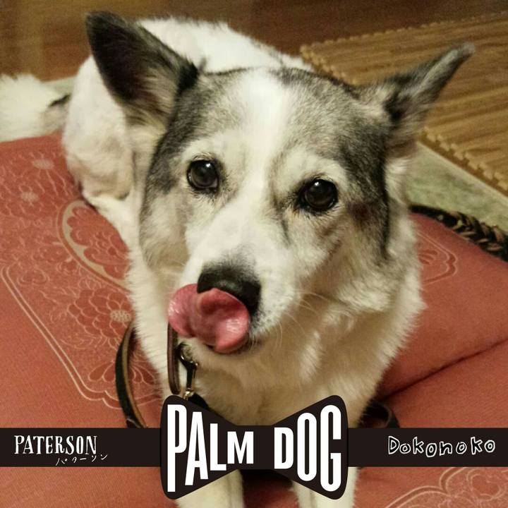 19c03366 3592 4263 a6dd e07a6d9e478a