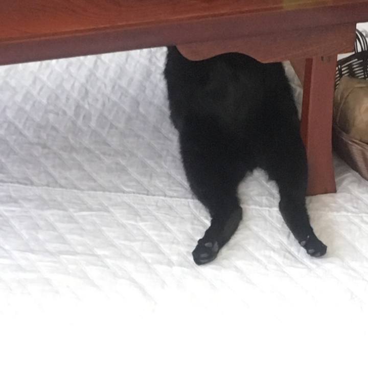 19c0a574 85d3 4d54 a0fe 88dc0c522991