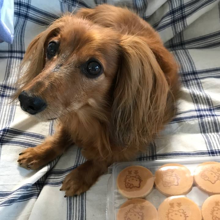 19c0c4cc da46 498a 8f35 9e04be4f9bb9