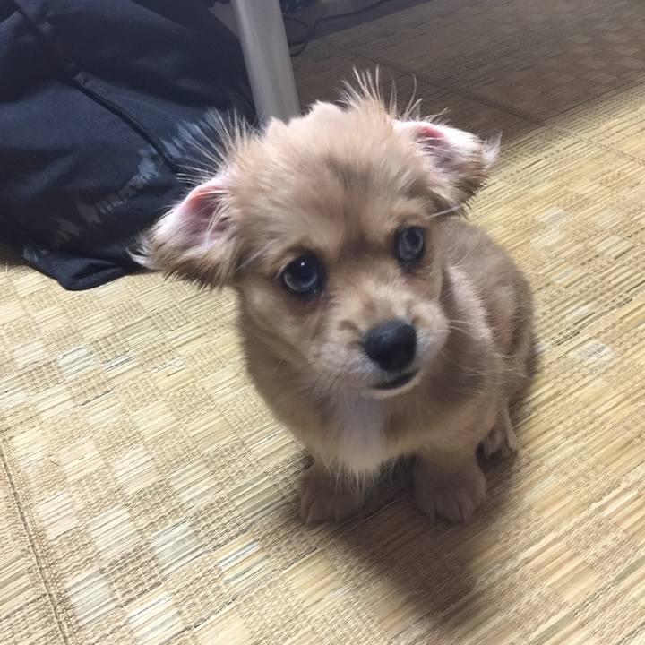 19c10496 8299 48fa 91b8 0e83891b14ca