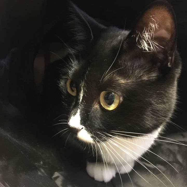 19c121b4 1527 4764 aff0 b1c3bc51f8da