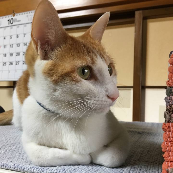 19c17a89 ec8c 45ac 9e93 5cab8facb2b7