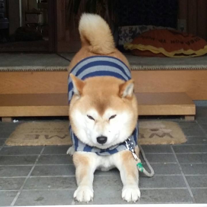 19c1c025 a65a 4edf 84c1 6625380e91cd