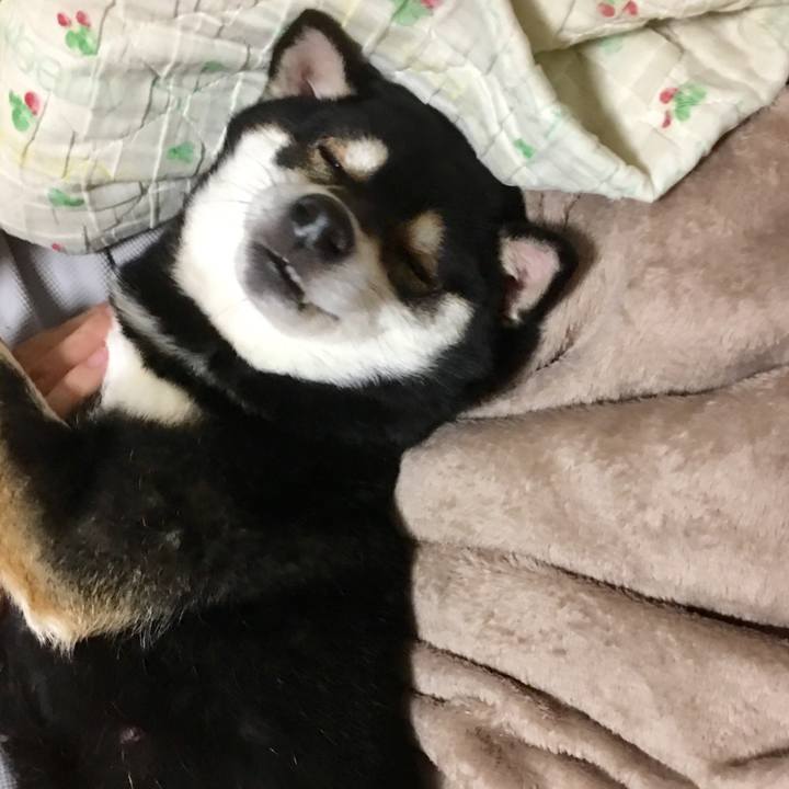 19c1eed6 2921 429e 82e0 cb0e4fa5b302