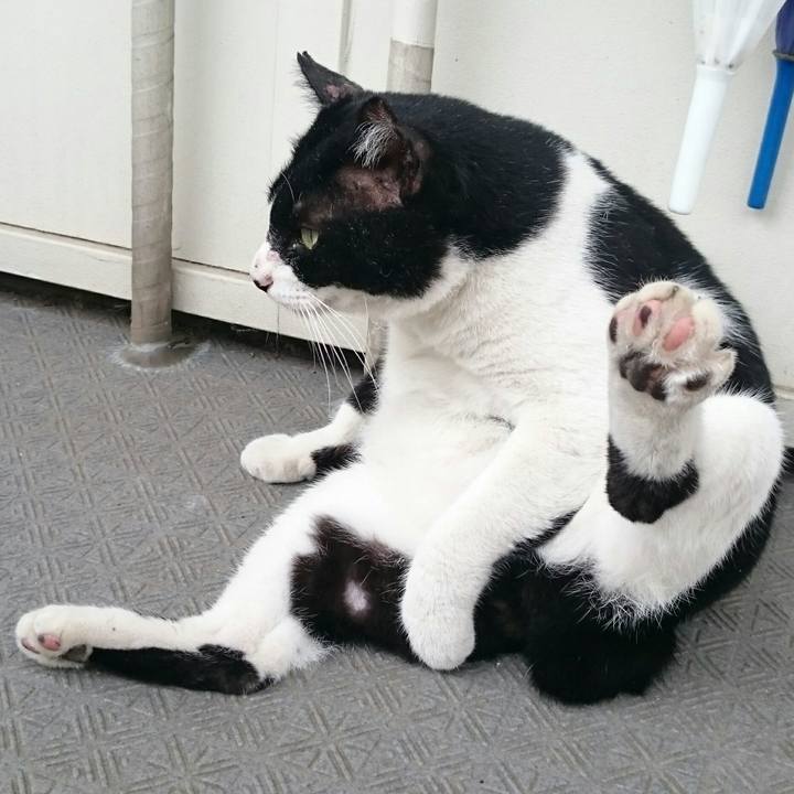 19c24310 cef4 44e5 ab2a 27c955b754a2