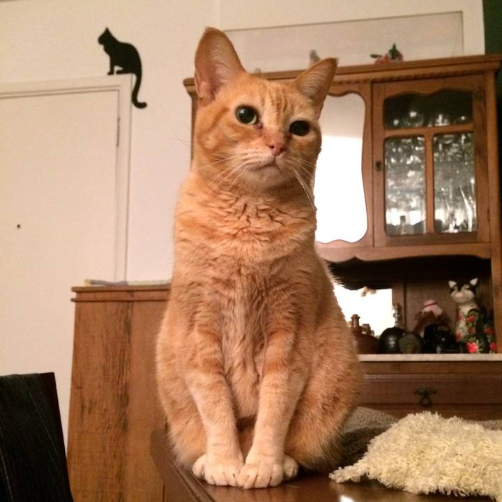 19c2a5b2 ba0e 499e a6b4 b744a5ee6c66