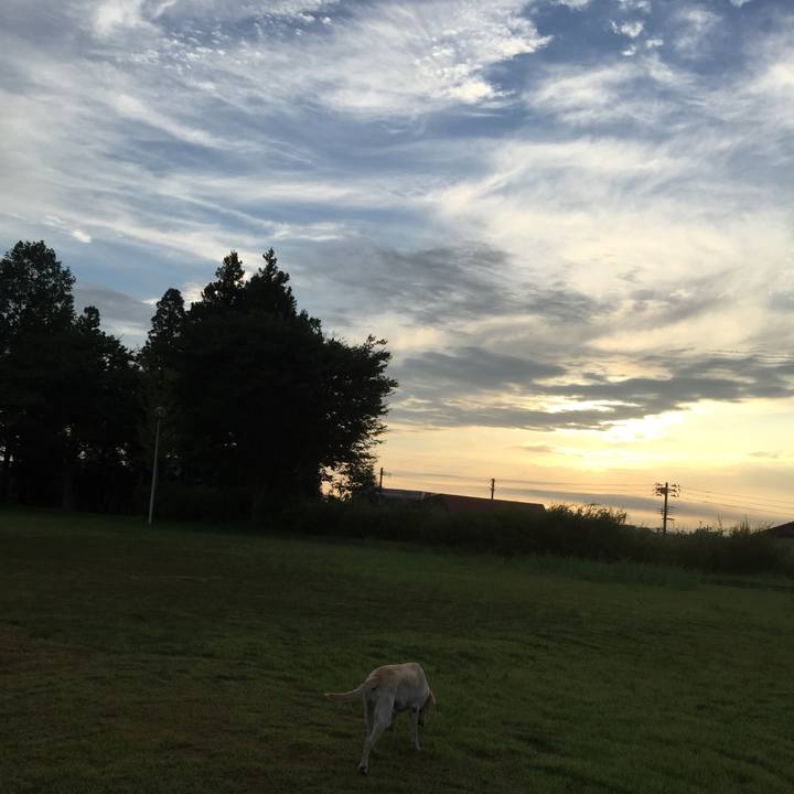 19c2d737 7a84 4bc7 9955 a0ecbd9bab0c