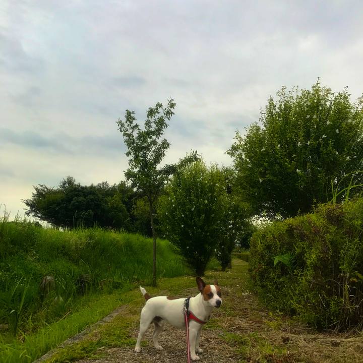 19c2e2b4 a1d1 4f2b a35b 57d80f76f1ee