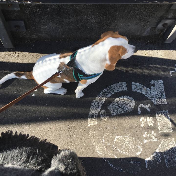 19c41765 c87f 4a32 95cf 56982669e571