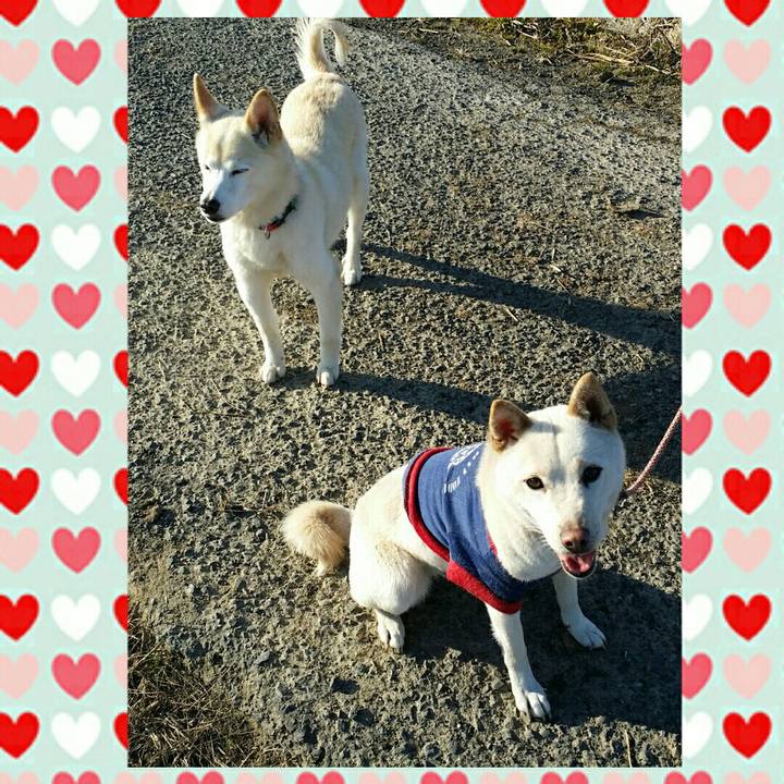 19c4d393 79ca 4820 aaf4 d4a59a618216