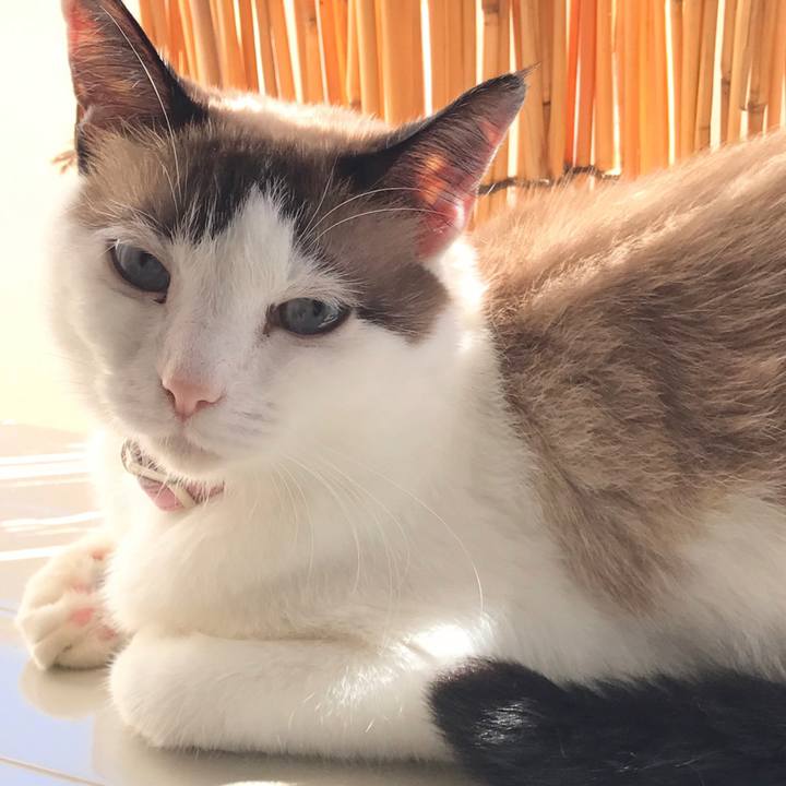 19c52441 2ebd 42b4 aabd 7c5b258d354b