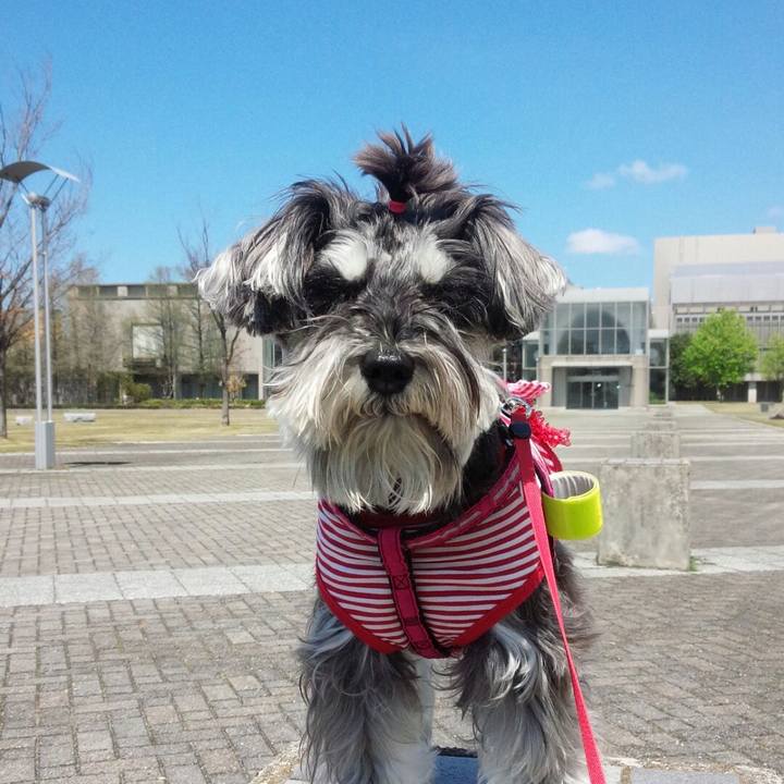 19c59c3a 3bd5 4442 89b9 73e8f9f1aea8