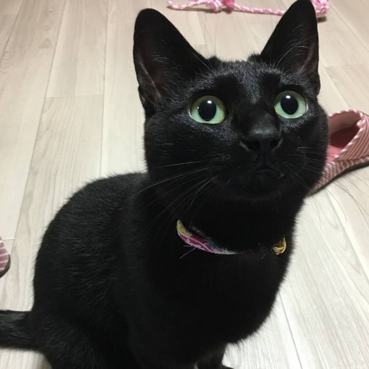 19c5c7f7 7c19 40f5 a945 f9c3d1c72908