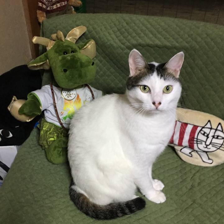 19c5e614 aef1 4530 99c3 84b1f423ecdf