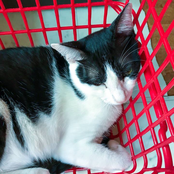 19c64c9e a5e8 456a b474 42c27f109ea4