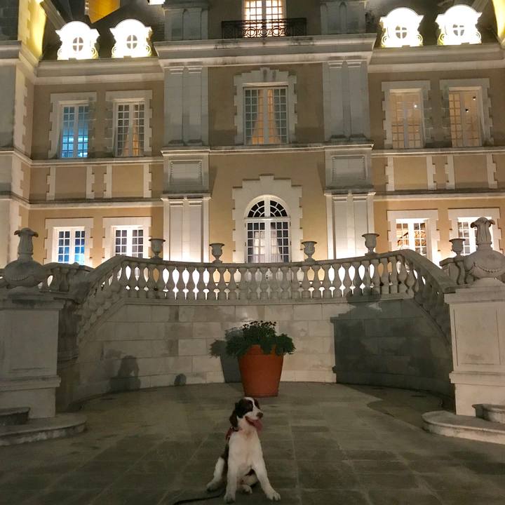 19c65766 695f 4bfc 8c8c af21c59f820d