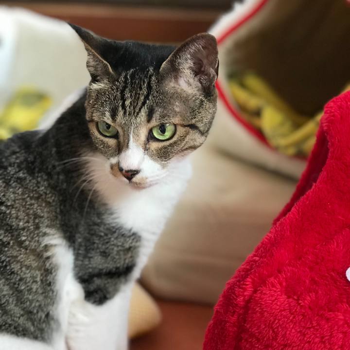 19c676b1 6f1b 44dd 9b42 a9b32db5c11d