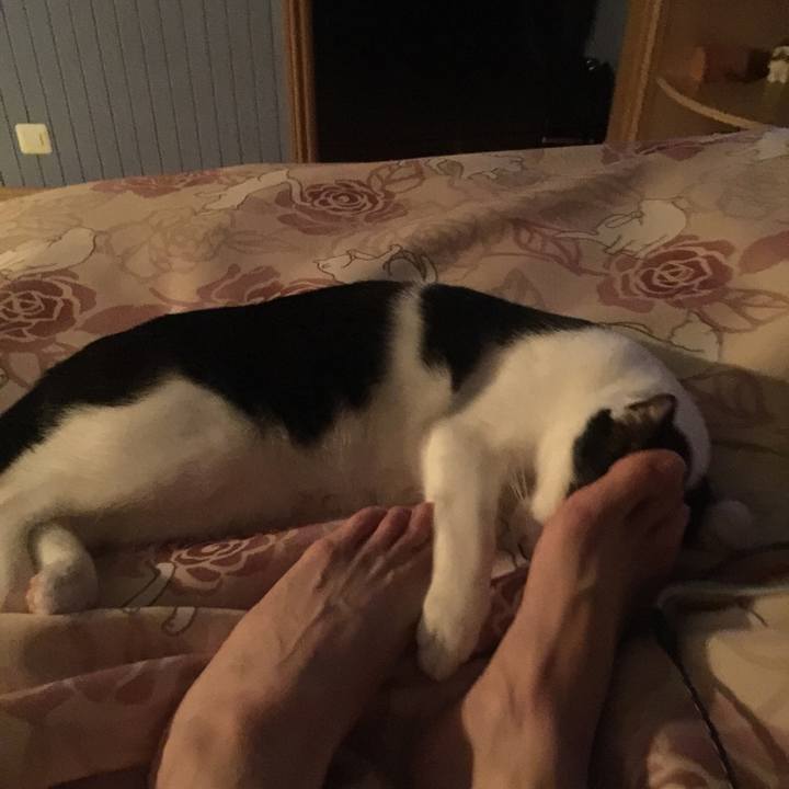 19c67868 721e 4f47 8674 869fd4608eee