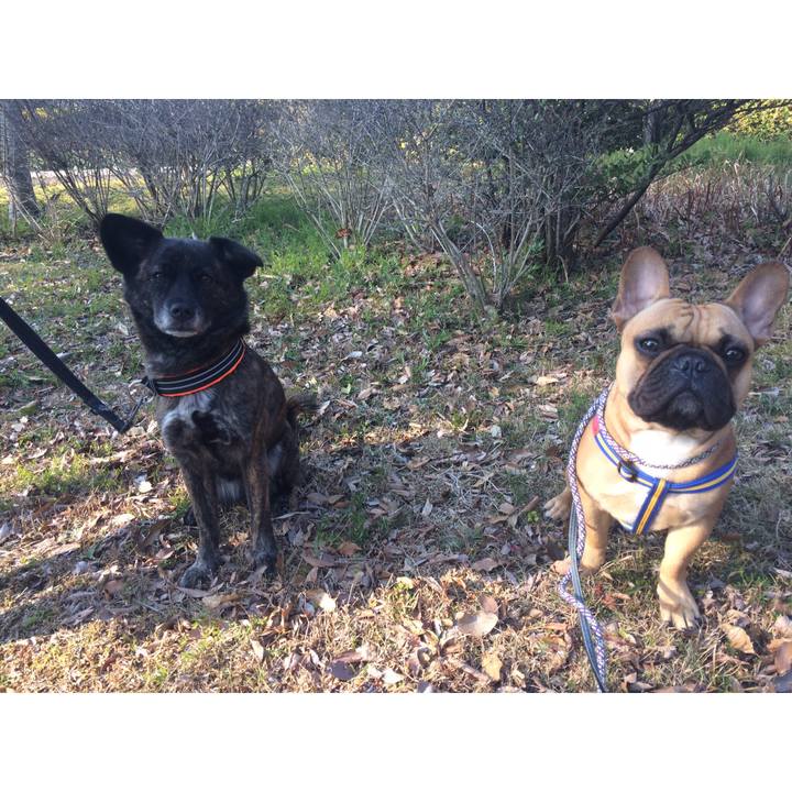 19c68a8e 982f 4994 9264 ff3acde2b85c