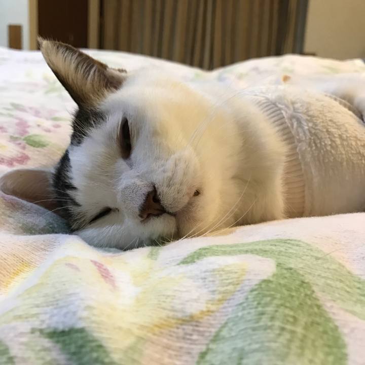 19c6b022 fa2b 4468 b17b 24298b6ba061