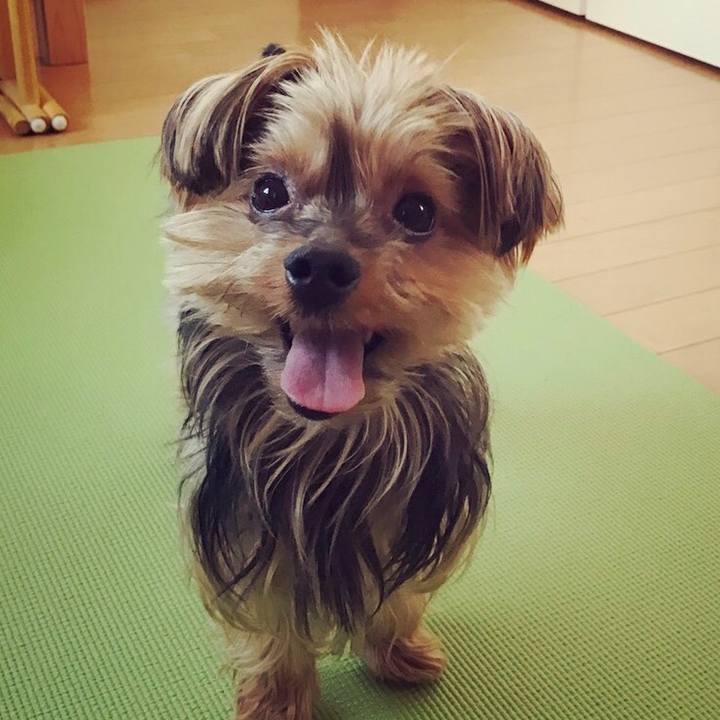 19c6b09d 5949 4ca0 a2e9 bf86c30cffcc