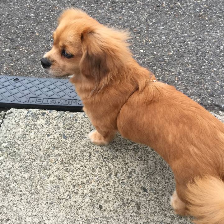 19c70f92 49b3 4040 bb15 1bc99875e4ab