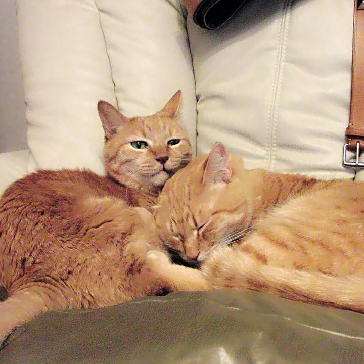 19c74e64 d9fa 45af 9bd9 755f29f7f648