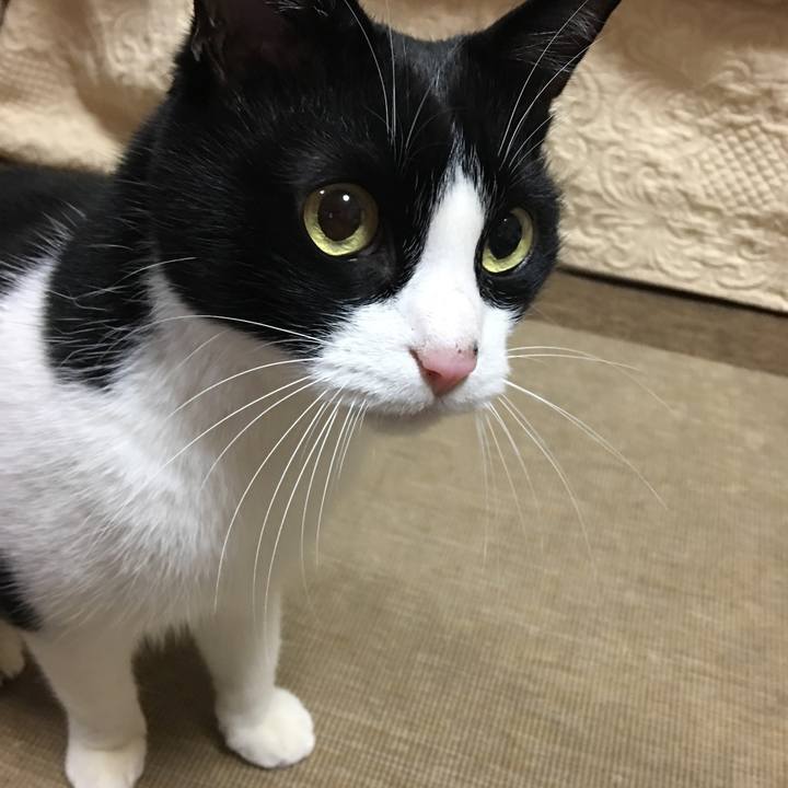 19c74fa7 53f3 450f be88 2d2e680a5a12