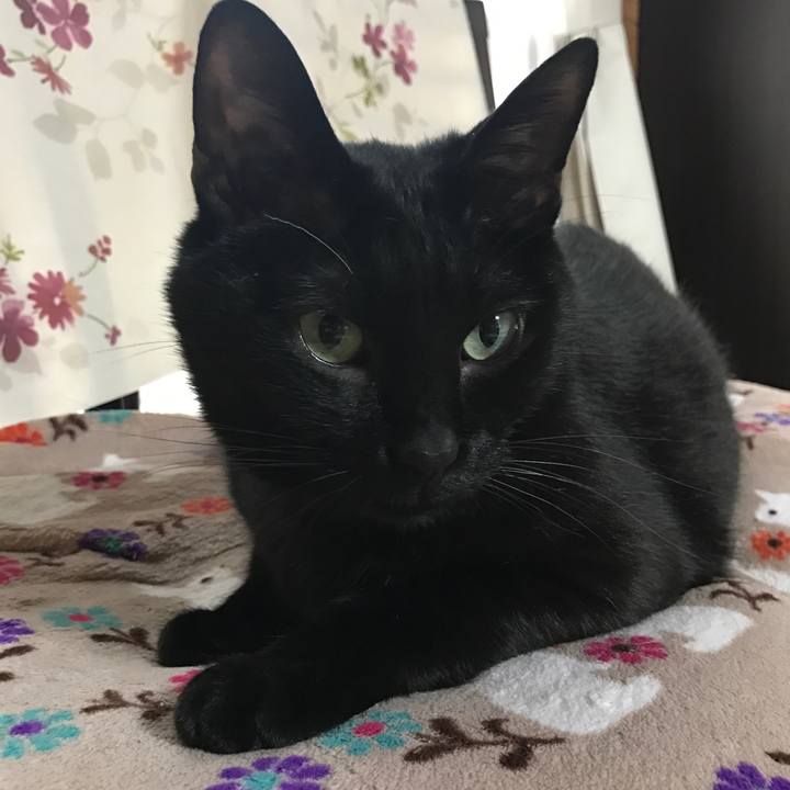 19c7520e abf4 48a2 a532 0bb521b1b444