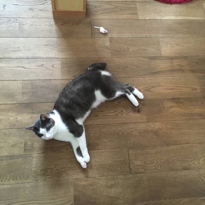 19c78390 9c1a 4e9f bab3 b1638801d63a