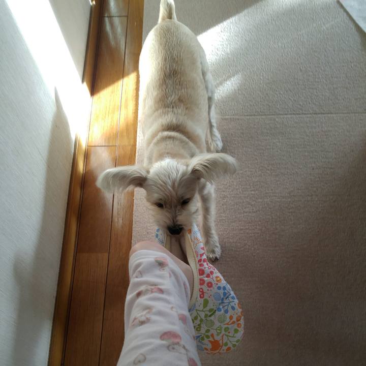 19c84ea4 bfbc 4cb8 b48f 6fed37fd71df