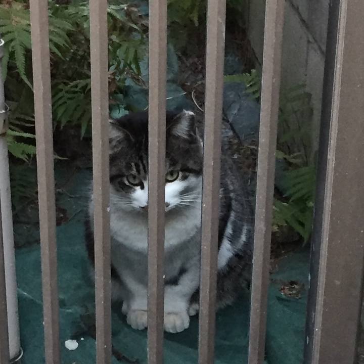 19c89a23 3da1 4f90 84ec 24629f0a92b5